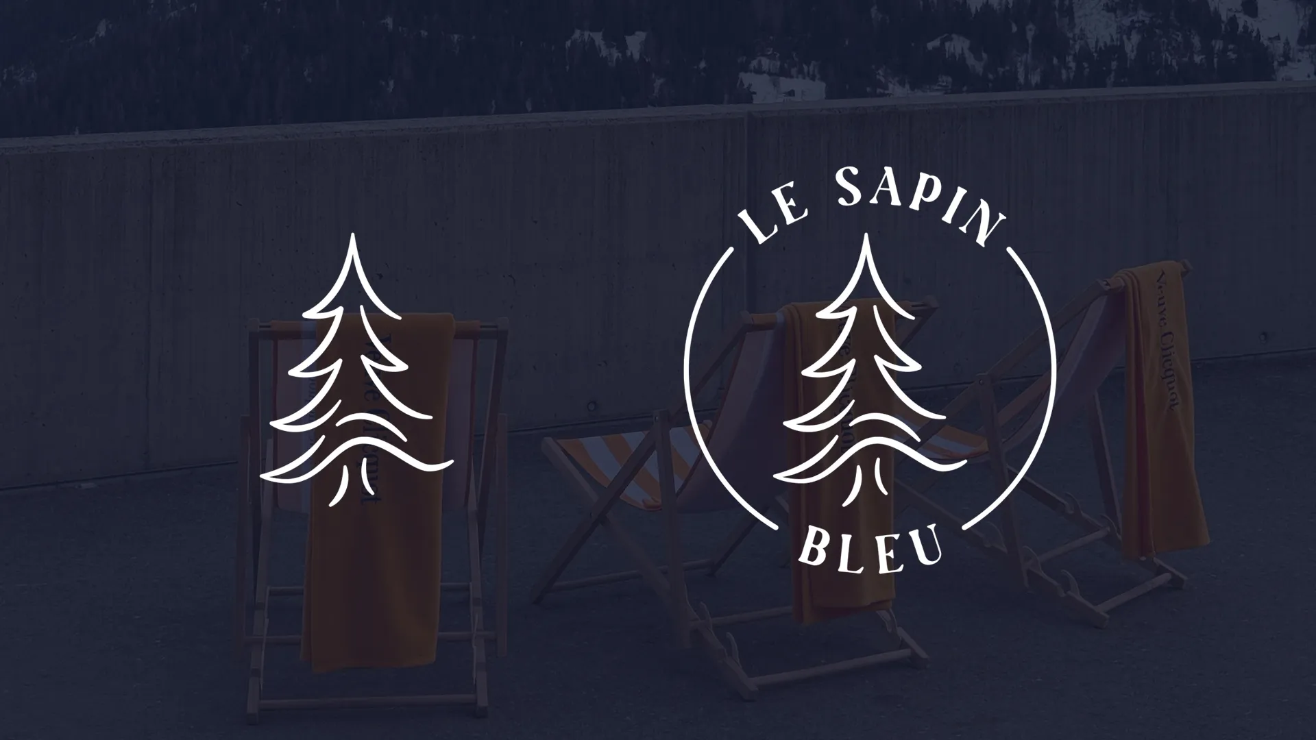 Le Sapin Bleu — image 3